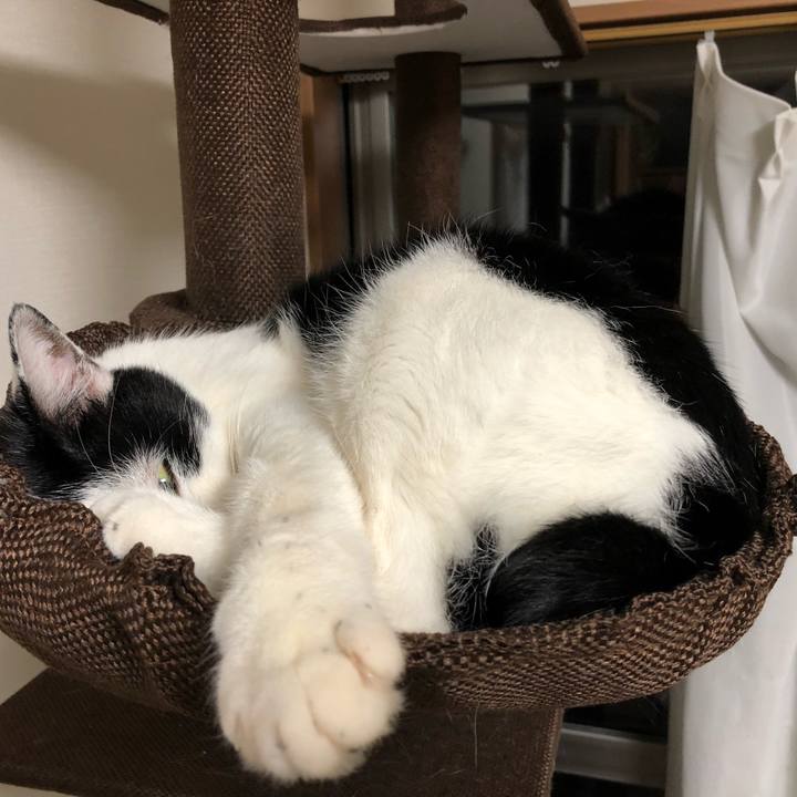 1e65ec31 fdbe 47ed a835 0859415d719a 1546350483548