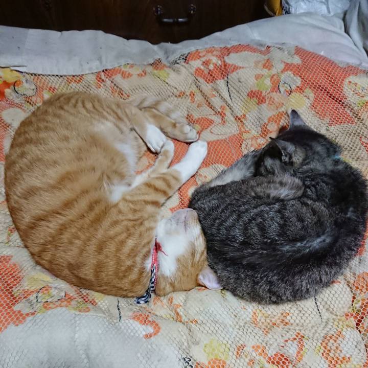 1e65fea9 61ee 4a6c 985a a352598183b1 1571580342018