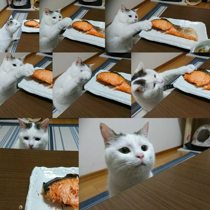 1e66098a 8c07 45eb b92d fb4e6b823e45 1516115143759