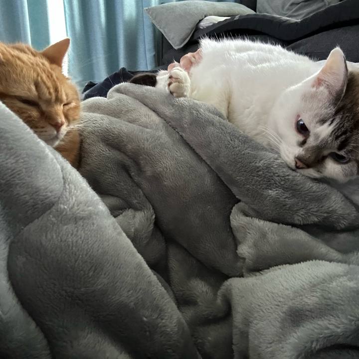 1e66262c 057d 4a29 824b e19037f1e605 1737261295224