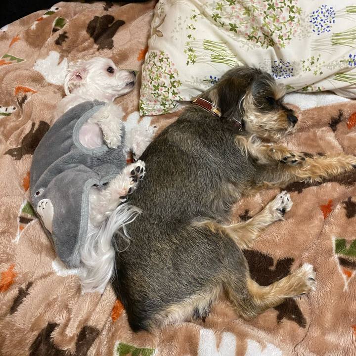 1e6640d6 a1d3 4301 a2fa d1ddf53a19ab 1579848857038