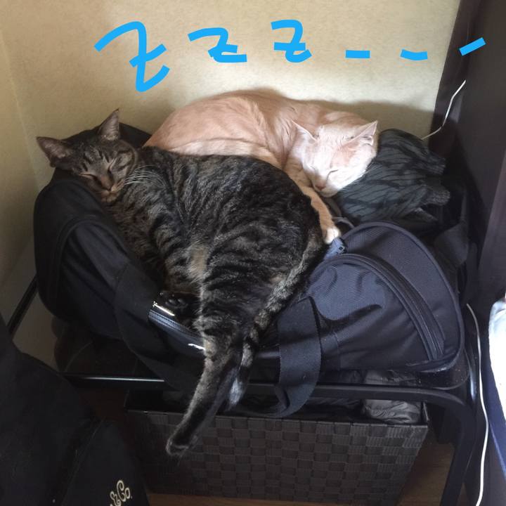 1e66442e d663 4f58 baf6 68c3cbb5d3fe 1553135221656