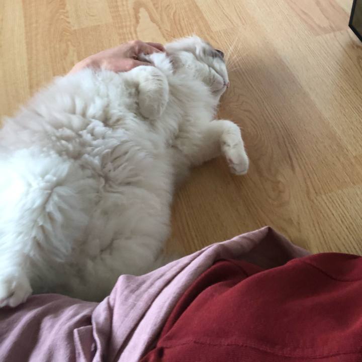 1e6670fd 3878 4654 8109 a24a7c67a117 1581470180032