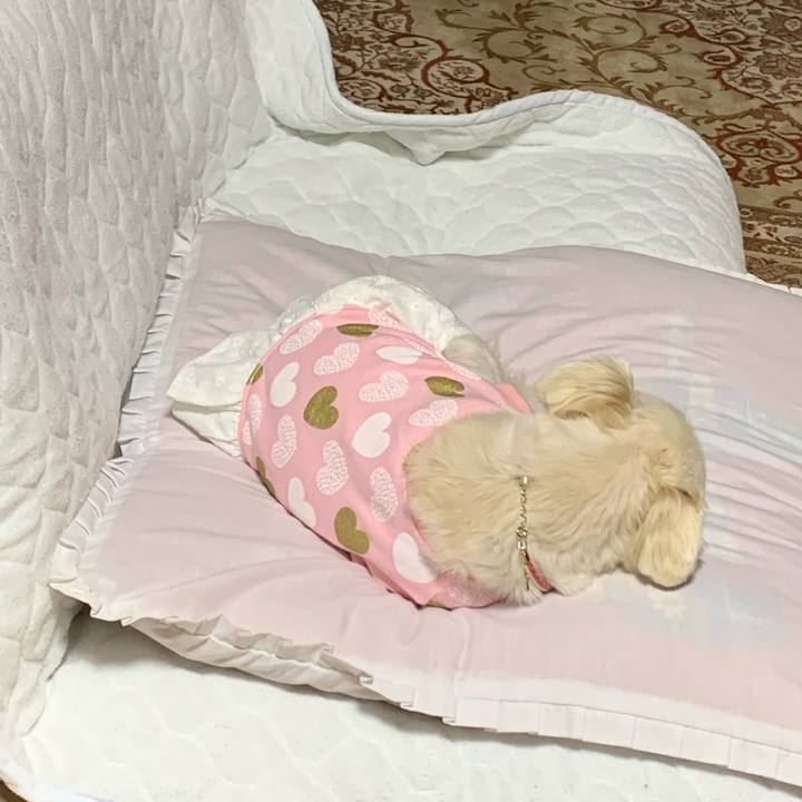 1e66a345 b369 4a53 819c 2739ee373db2 1649330698940