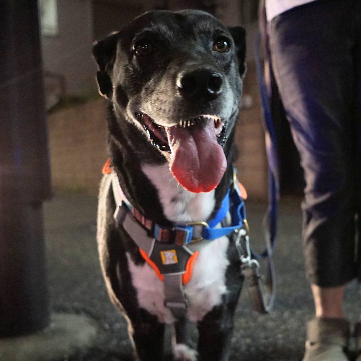 1e66a8e3 4556 4853 9c12 2fef3cc66ce2 1758798455926