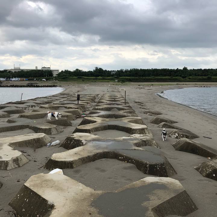 1e66f3e9 d656 4e5b 93d1 57ce08d0325e 1566517459240