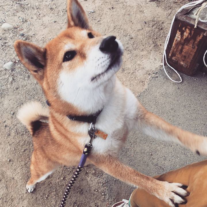 1e6710bc faae 47df 97b4 8bc7f2c136d7 1559273901306