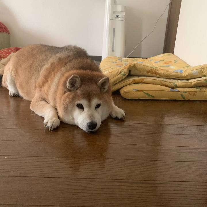 1e671da6 5796 40ce bdc7 68a908fca07f 1606625898305