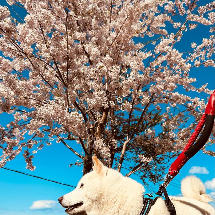 1e674f23 08d1 4f55 8350 09f2aa84c5d3 1682890172384