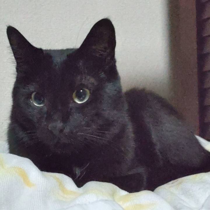 1e676061 45bc 423b 86a3 4d329d7382e4 1672301153896