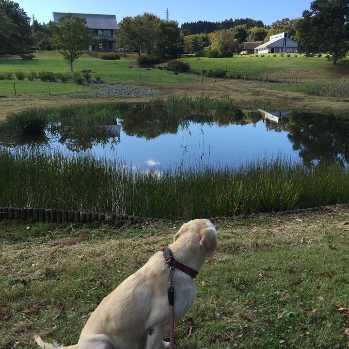 1e677f98 0641 4319 90e0 6f263e697990 1565763475065