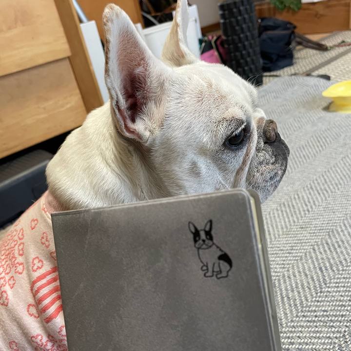 1e67859e 7dce 4edd 8598 f9eccbe889e6 1734823398495