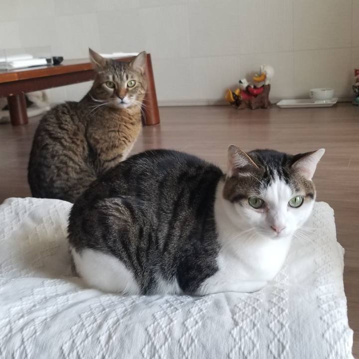 1e678955 f7b4 40c7 9c8a 1b41b0178a76 1551506526571