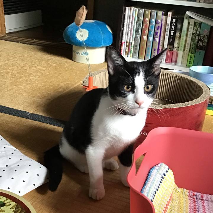 1e67935b 2a4e 4200 84d1 cf941295cd37 1629508223018