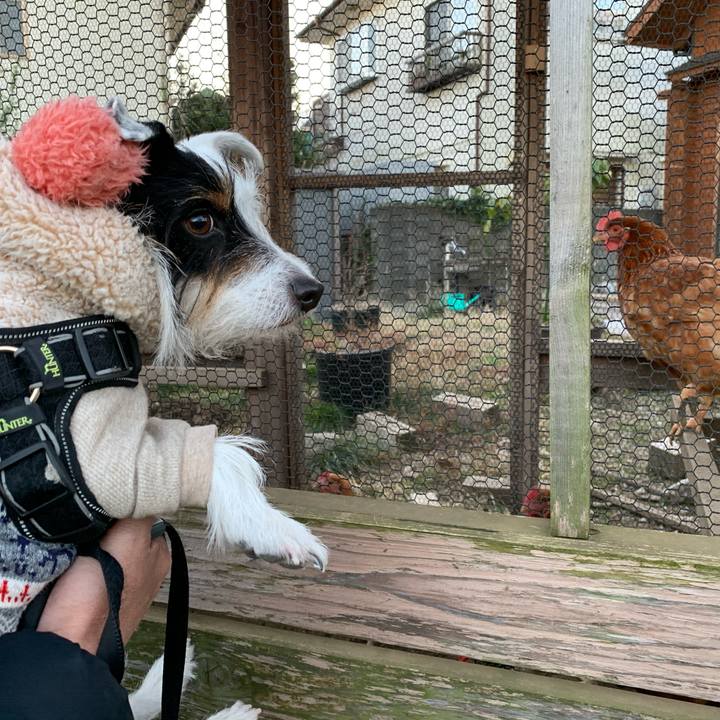 1e67dd0c 0baf 4acd b5da e926c2f6221d 1578211132908