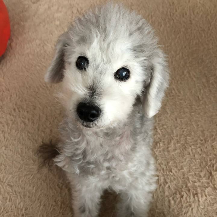 1e67e6d7 3a98 428c 91a0 0ae06eceea0e 1743438564488