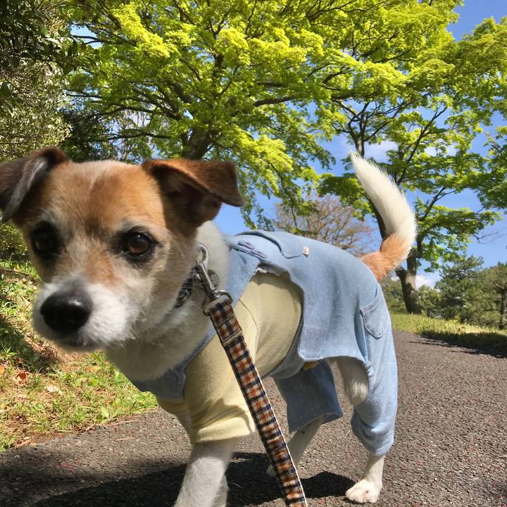 1e681758 05ed 4c22 aec1 132b5c8520a4 1586492200323