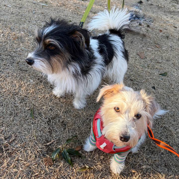 1e682077 7064 4068 8b08 119b585e5bc7 1768197523255