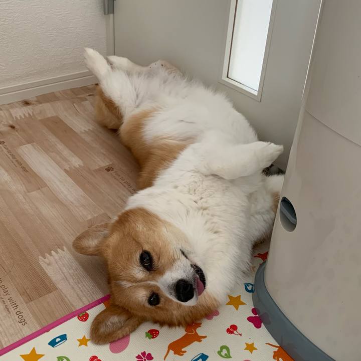 1e68236c 5d31 4665 aff6 3a37461b3199 1720485356194