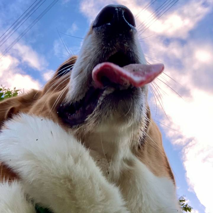 1e6824e4 18f4 4f88 8eb5 2e899c6135f7 1699058440599