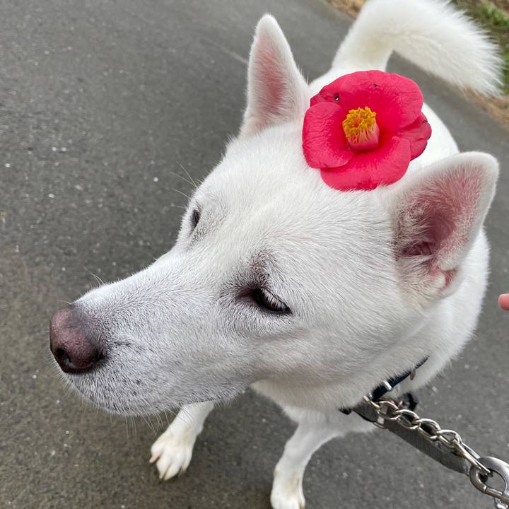 1e682f02 4ae6 49eb 809c f51e78a1b712 1611456396535