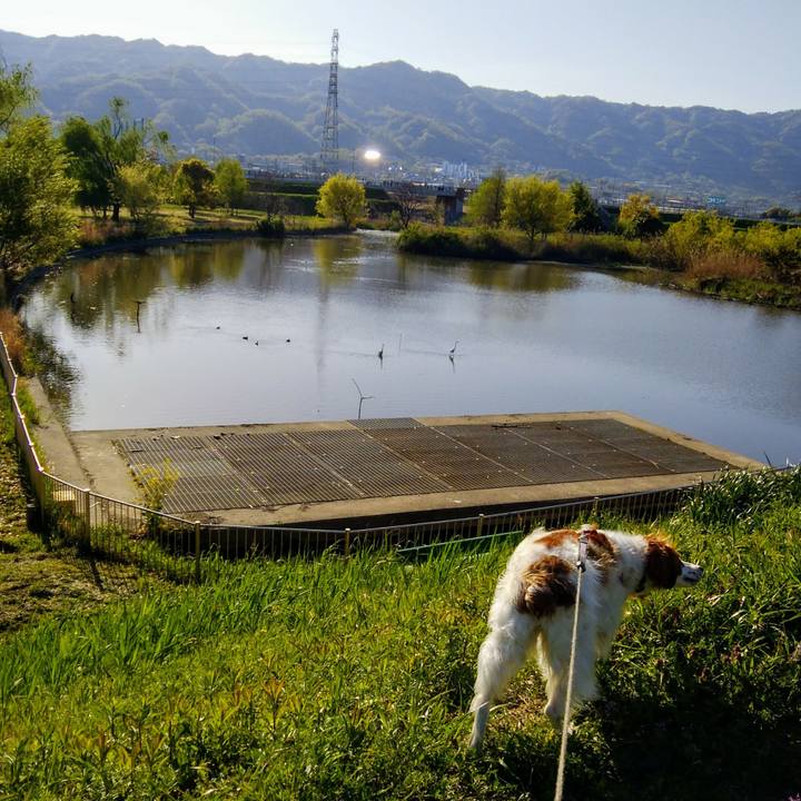 1e6848be 1365 4fed 9bcb 4e7ac1982b75 1555718136627