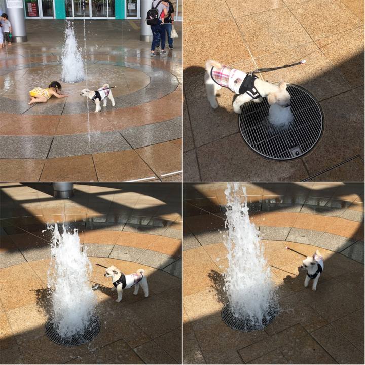 1e68a79a 6267 4073 8732 ca7af156247f 1527847248485