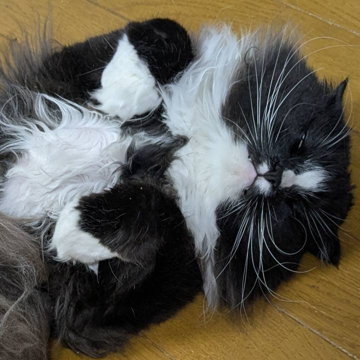 1e68dd3c 2579 408e 831a bde3ffbe7c01 1775171727022