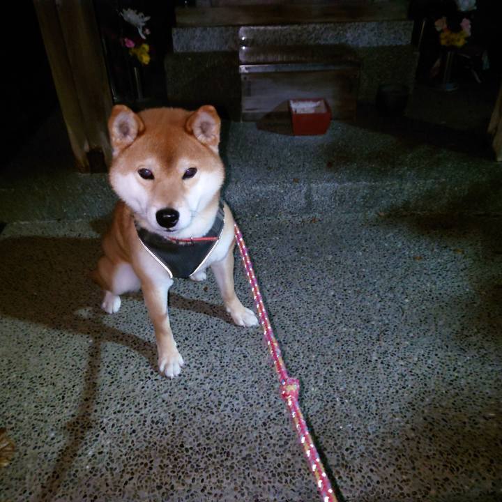 1e68ee16 a216 4079 82c3 c62166dd8333 1766360601747