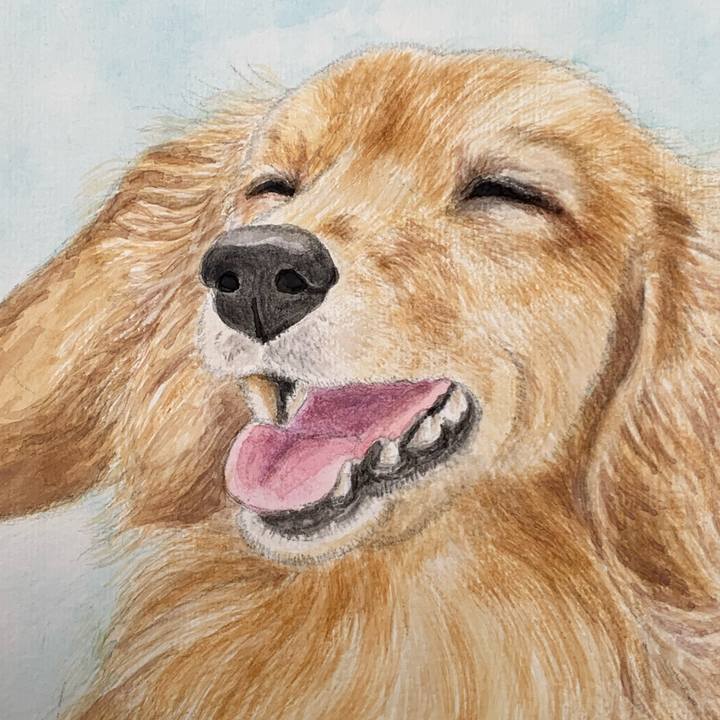 1e692bc1 2c01 42b5 9ec7 e4187bff0441 1687828271692