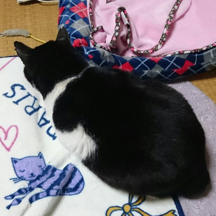 1e6942b5 f3a4 42e0 97de b5e162060377 1521889471984