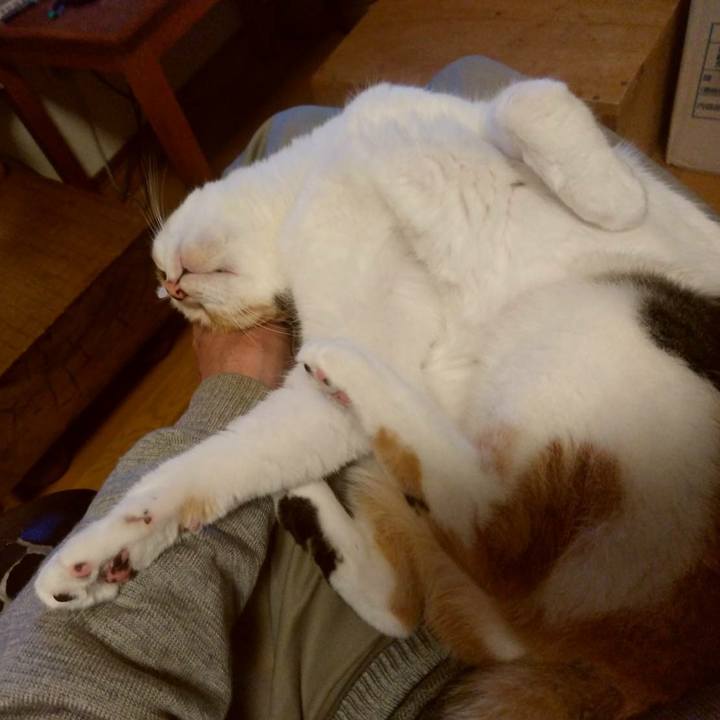 1e694c89 5a83 466b b404 e60ce43eddb1 1621422684843