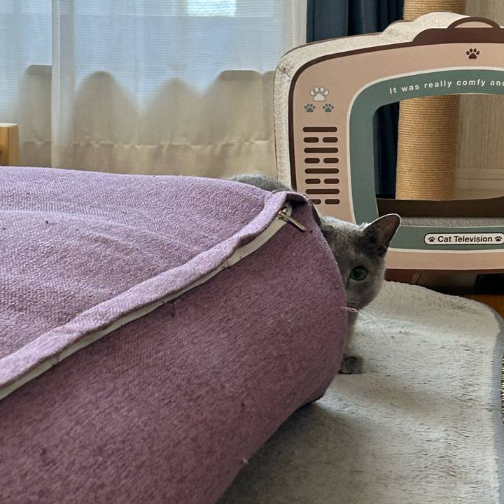 1e695013 7d93 4e60 9410 6bcf38373fce 1682123779278