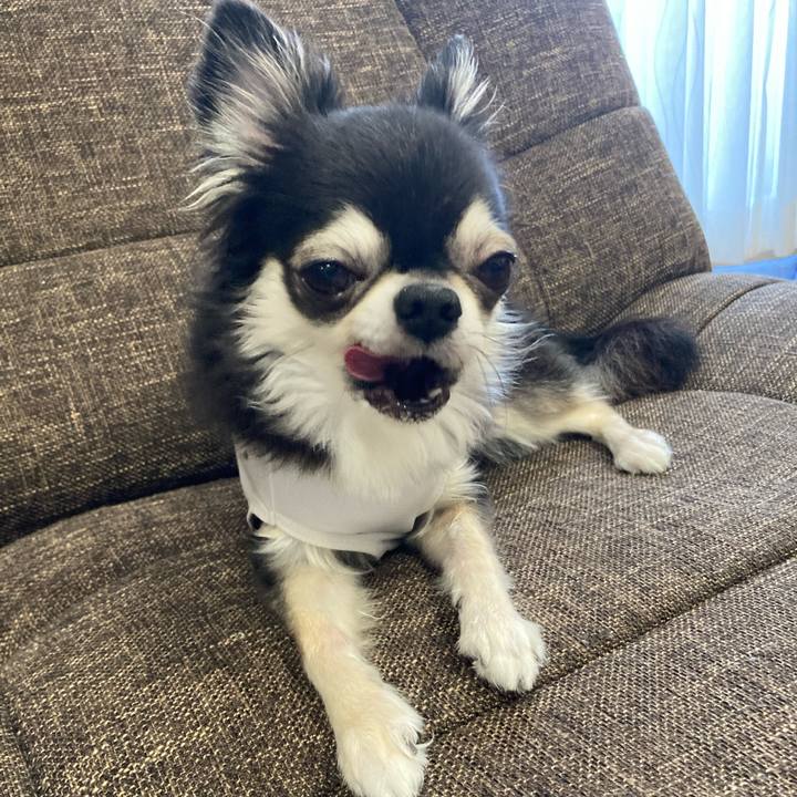 1e6972df 831a 4b63 9525 7ea988fc1c47 1692542989555