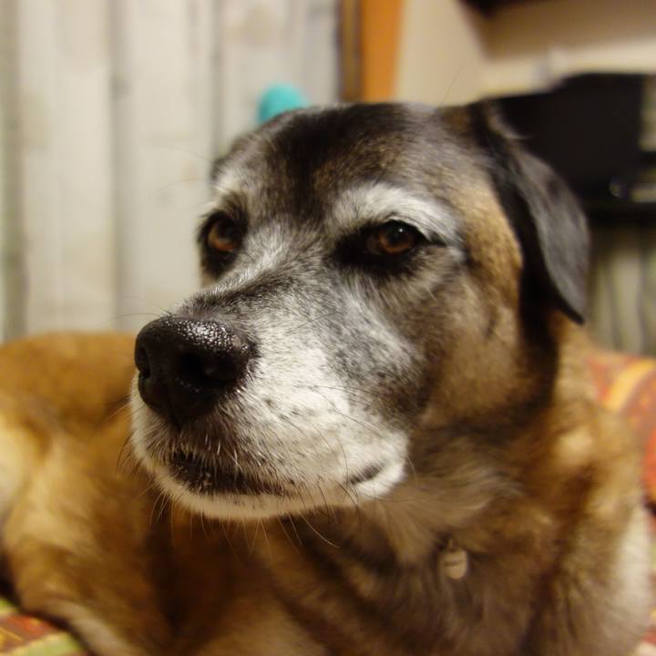 1e6977a3 cb3a 47ea 9116 4da9aaf97312 1512131436829