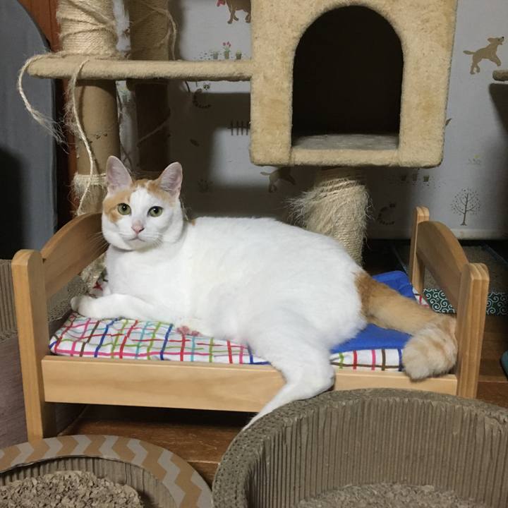 1e698704 23f5 4829 8e0e 84d43d58725f 1538920297682