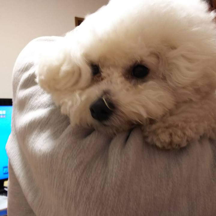 1e698e4f f091 4484 ba48 9d73f04c1f97 1517889473141