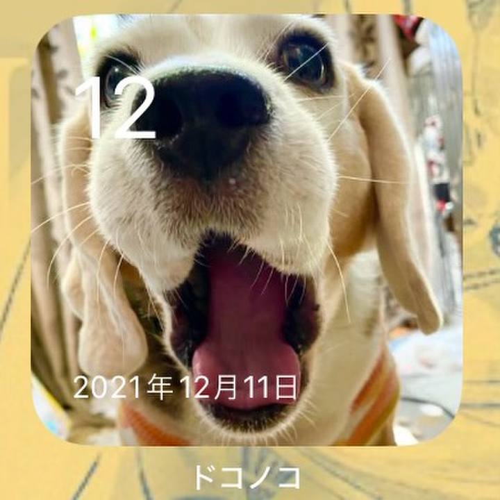 1e69a12d 8bee 4b77 858b 669dd843ed50 1702338496783