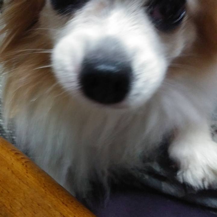 1e69aa4b 03b1 40a2 8388 77b7ebb0e797 1568730437826