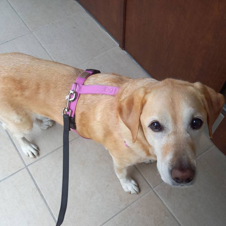 1e69ae41 3ade 433d 90b9 a5a90b26156e 1678498801146