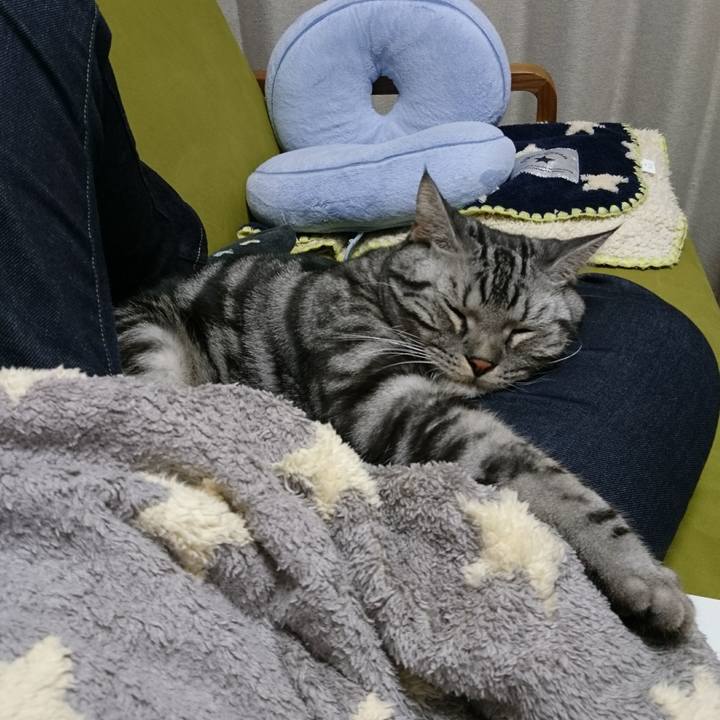 1e69b754 1ef6 4892 9715 7e5ad2a1210f 1508588375044