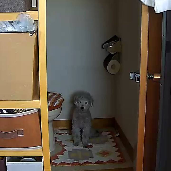 1e69e303 8621 4d31 802b bfad1f5803e8 1586491499209