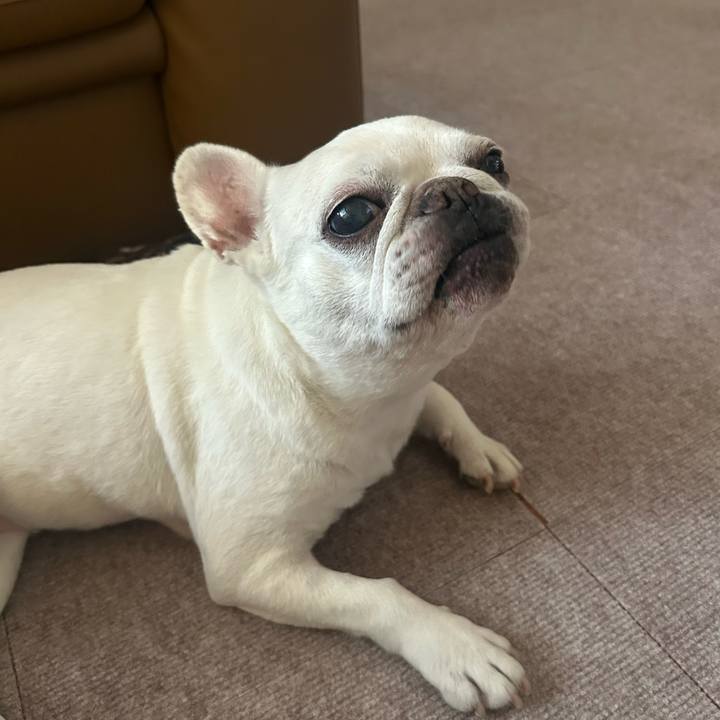 1e6a3a31 5ffa 4b9d b855 809350fb709f 1752291783612