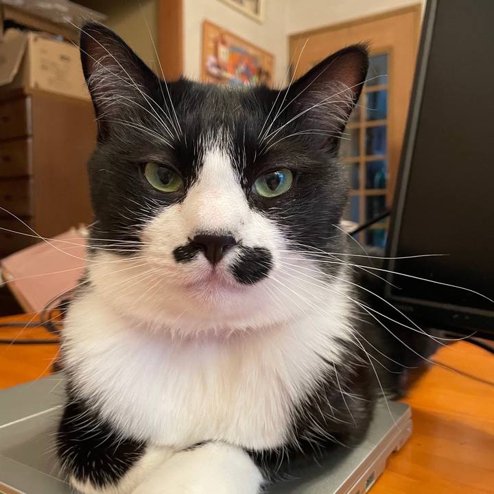 1e6ab5ad b71e 46be a16d 55e4c5db5559 1654519491215