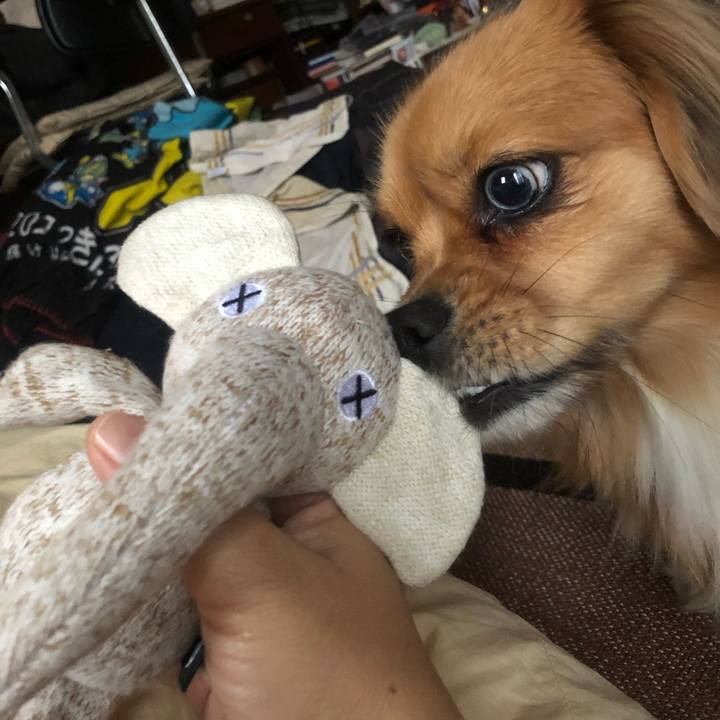 1e6afbf5 5eb0 4edf a67d a60b4cc9cb62 1542582606422