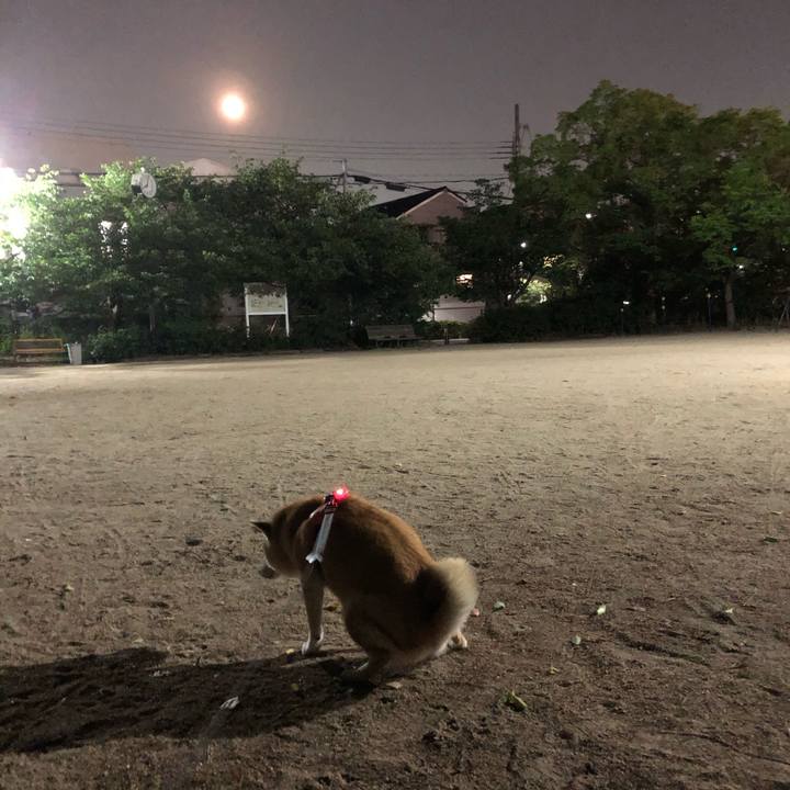 1e6b2be6 3d72 4b65 9705 50835a16bce1 1591369643078