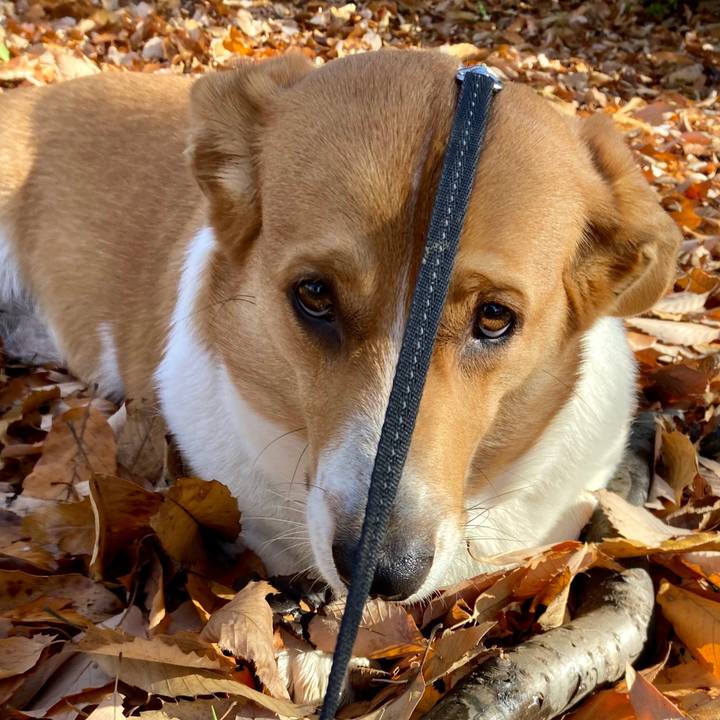 1e6b3608 9ed4 41b2 b3fb 2f4a66880222 1643420966368