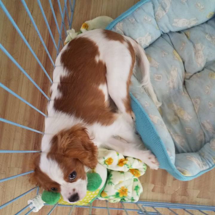 1e6b3986 f52a 4749 93ad db02670ed659 1569501190202