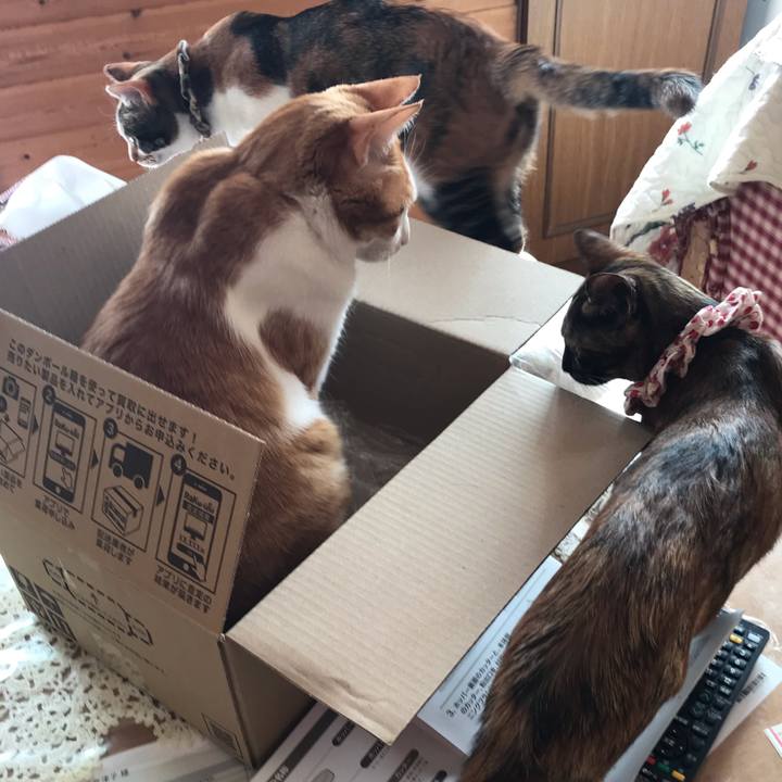 1e6b4e72 ff0c 4ded b54d 865a7e4928a6 1614047865581