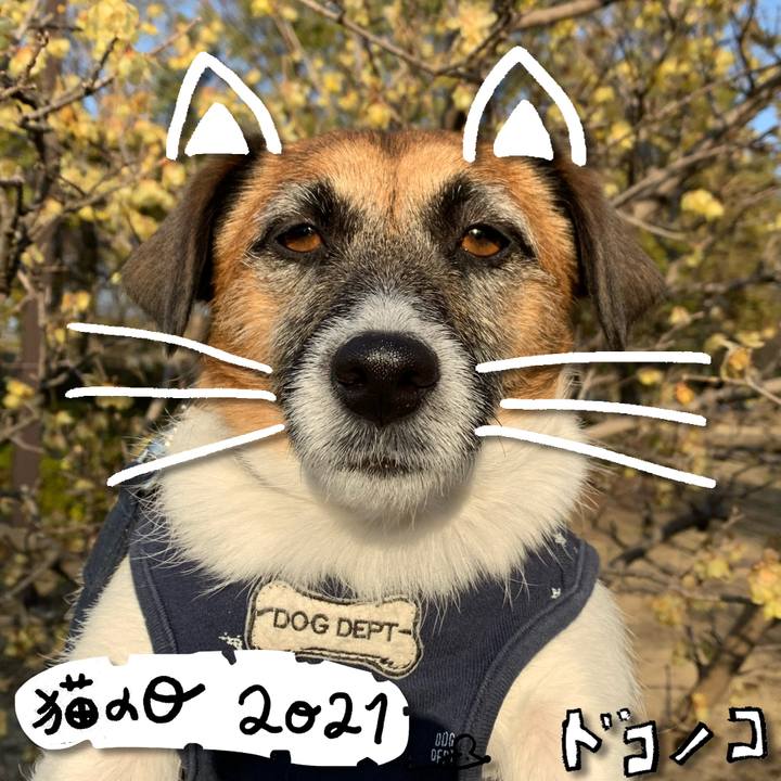 1e6b663c f465 4c69 b939 2218a16765a2 1613964960937